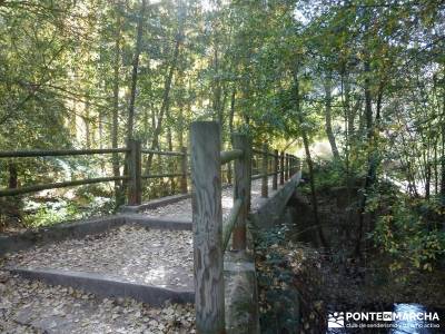 Hoces del Río Duratón - Villa y Tierra de Sepúlveda;grupo pequeño senderismo madrid